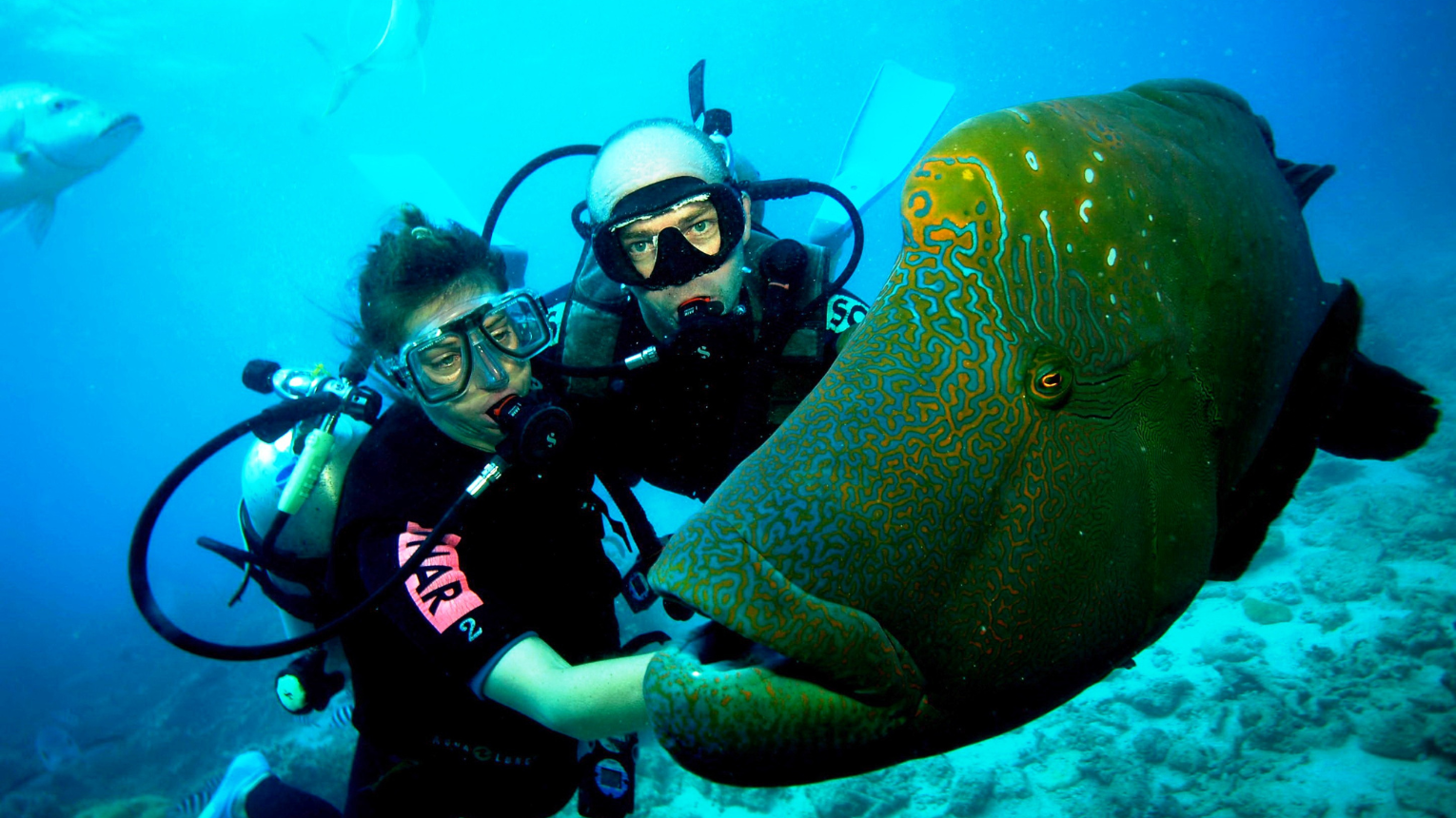 Nyári Kalandok Várnak! 🌞🌊 Fedezd Fel a Szezon Legizgalmasabb Vízi Élményeit!