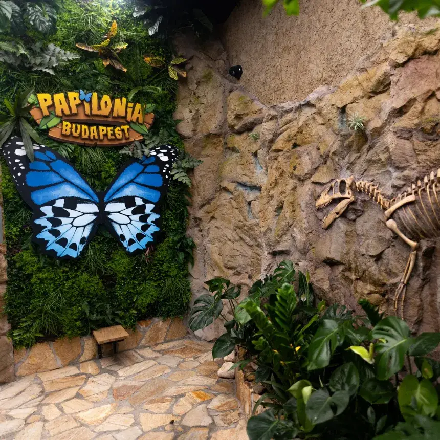 Varázslatos pillangók testközelből! – Belépő a Papilonia Lepkevilágba (Felnőtt)