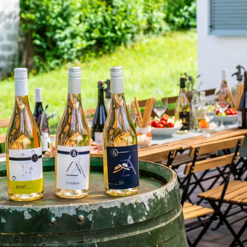 Borkóstoló borkorcsolyával Etyeken a Zoád Borteraszon