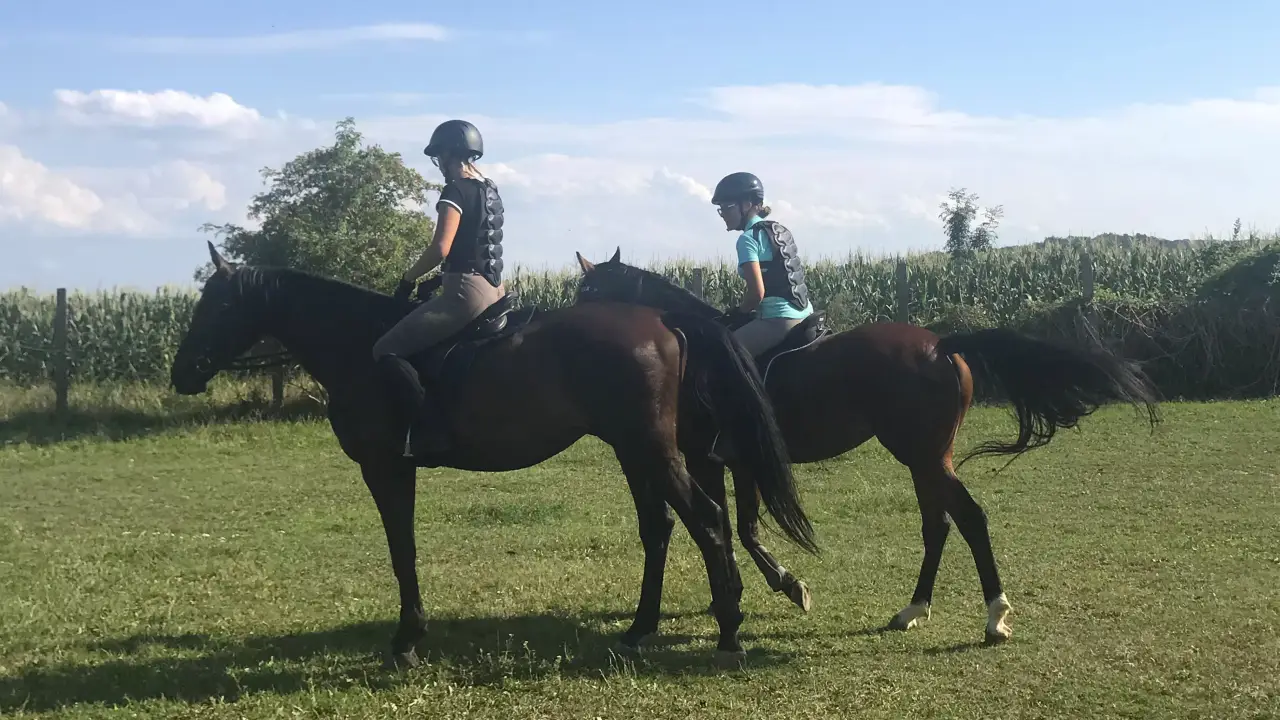 Páros Terep Lovaglási élmény Zalakaros melletti farmról indulva
