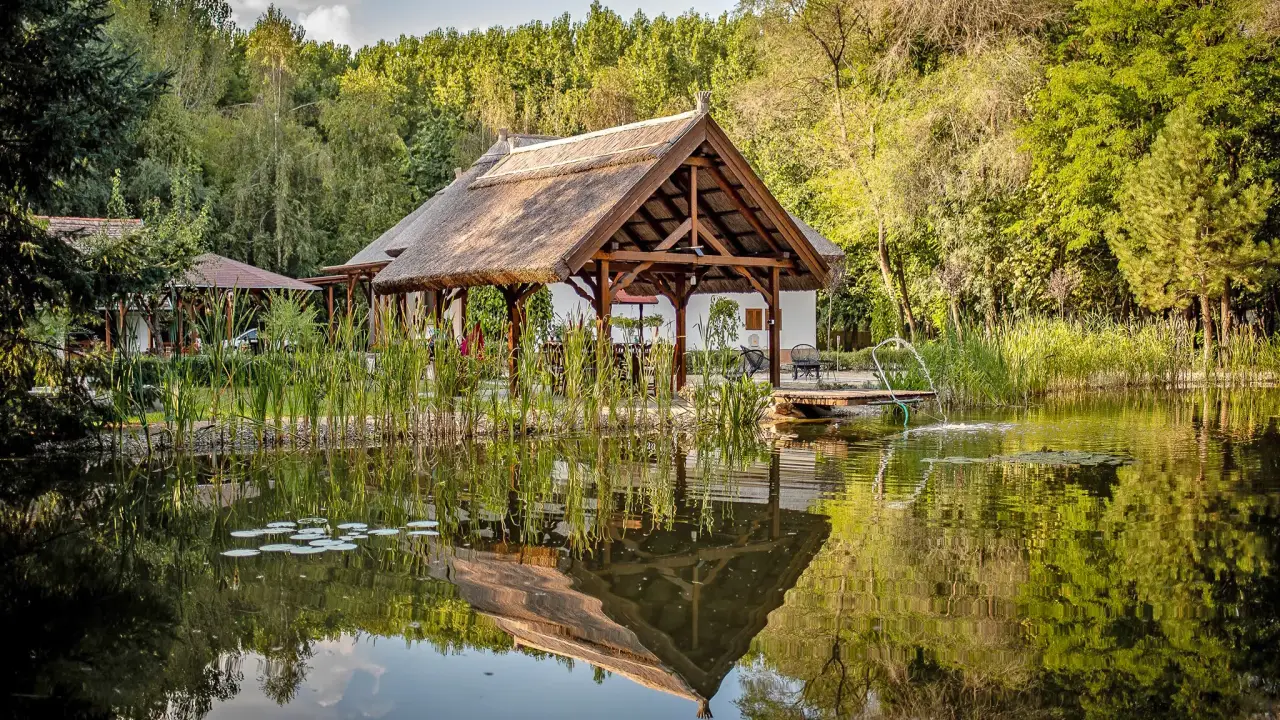 Erdőben, tóparton nagy vendégházban családdal barátokkal Cserkeszőlőn 2 éjszaka