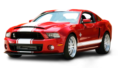 Vezetések Párndorf mellett