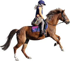 Gyerekeknek élmények 2