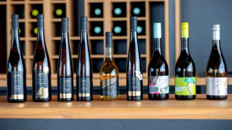 7 tételes prémium borkóstoló tapas tállal - Harsányi Pincészet 5