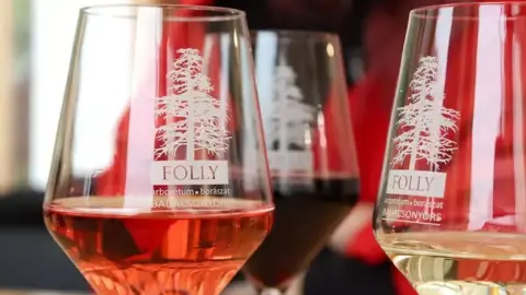 Szőlőtőkétől a palackig – Borkóstoló a Folly Arborétumban 8