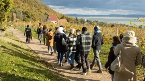 Birtokséta borkóstolóval – Kalandozás a tőkék között a Folly Arborétumban 3