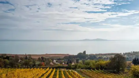 Birtokséta borkóstolóval – Kalandozás a tőkék között a Folly Arborétumban 9