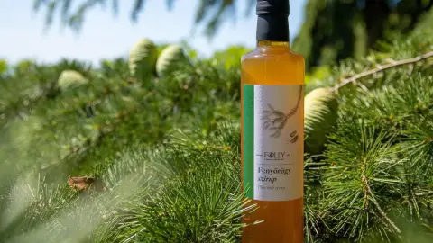 Édes élmény Anyával – Szörpkóstoló a Folly Arborétumban 4