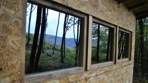 Medveles a Hargita lábánál - Testközelből a Kárpátok királya! 4