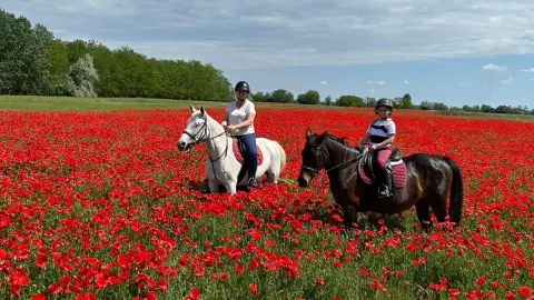 Szállj nyeregbe Anyával! – Tereplovaglás a Dél-Alföldön (kezdőknek is)