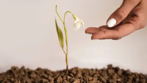 Kézműves cukorvirág készítő workshop Budapesten 1