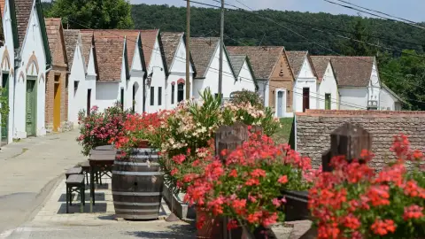 3 fogásos Vacsora + Borkóstoló egy hangulatos Pinceétteremben Villánykövesden 3