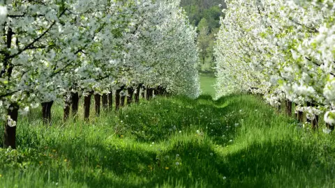 Édes élmény, zamatos pillanatok! – Gyümölcsborkóstoló Villánykövesden 8