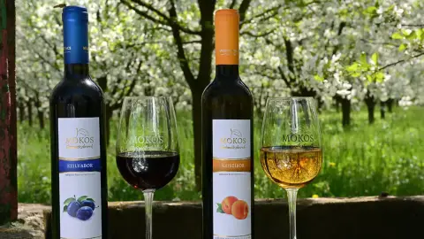 Édes élmény, zamatos pillanatok! – Gyümölcsborkóstoló Villánykövesden 2