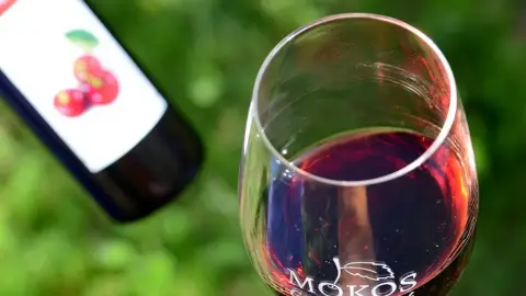 Édes élmény, zamatos pillanatok! – Gyümölcsborkóstoló Villánykövesden 5