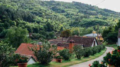 Fedezd fel a Villányi Borvidék legszebb Pincesorát! – Pincejáró túra Villánykövesden 7