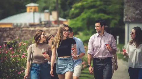 Fedezd fel a Villányi Borvidék legszebb Pincesorát! – Pincejáró túra Villánykövesden 6