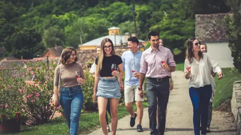 Fedezd fel a Villányi Borvidék legszebb Pincesorát! – Pincejáró túra Villánykövesden 9