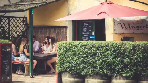 Fedezd fel a Villányi Borvidék legszebb Pincesorát! – Pincejáró túra Villánykövesden 5