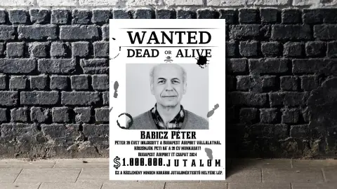 Jópofa WANTED körözési plakát az ünnepeltről akár videóval 8