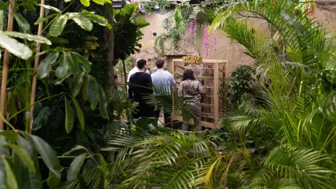 Egy mesebeli élmény! – Belépő a Papilonia Lepkevilágba (Gyermek/Diák/Nyugdíjas) 2