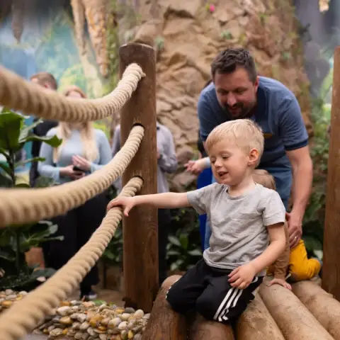 Pillangóles Apuval! – Felnőtt-gyermek páros belépő a Papilonia Lepkevilágba