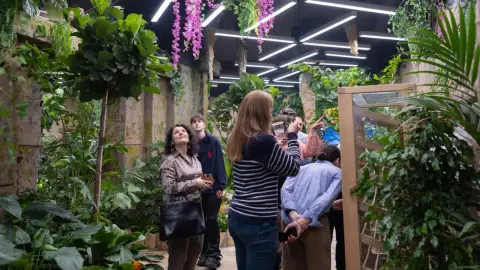 Egy mesebeli élmény! – Belépő a Papilonia Lepkevilágba (Gyermek/Diák/Nyugdíjas) 7