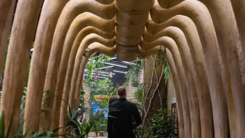 Egy mesebeli élmény! – Belépő a Papilonia Lepkevilágba (Gyermek/Diák/Nyugdíjas) 8