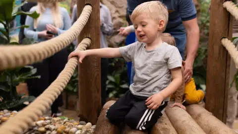 Pillangóles Anyuval! – Felnőtt-gyermek páros belépő a Papilonia Lepkevilágba 9