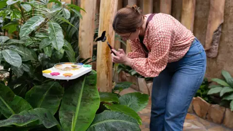 Egy mesebeli élmény! – Belépő a Papilonia Lepkevilágba (Gyermek/Diák/Nyugdíjas) 9