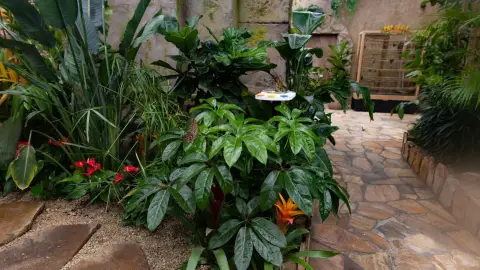 Egy mesebeli élmény! – Belépő a Papilonia Lepkevilágba (Gyermek/Diák/Nyugdíjas) 10