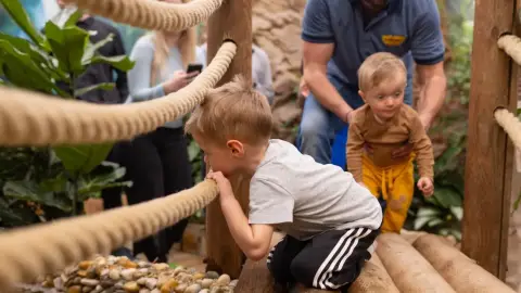 Pillangóles Anyuval! – Felnőtt-gyermek páros belépő a Papilonia Lepkevilágba 18