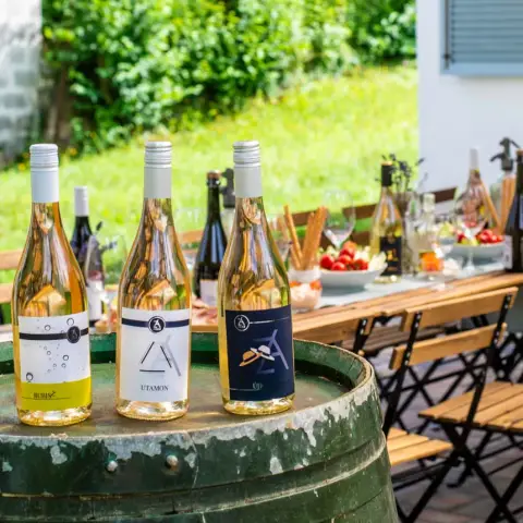 Borkóstoló borkorcsolyával Etyeken a Zoád Borteraszon