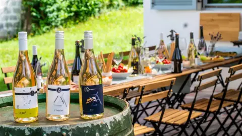 Borkóstoló borkorcsolyával Etyeken a Zoád Borteraszon 2