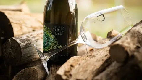 Dűlőtúra, borkóstolóval a Harsányi Pincészet Birtokán 2