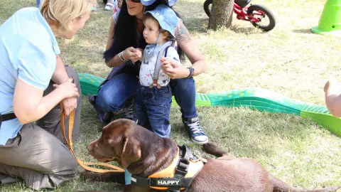 V.I.P.élménykutyázás terápiás csoki labradorok retrieverekkel 2 főtől