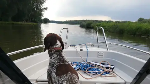 Élményhajózás Heléna hajóval a Tisza-tó nem védett vizein 6