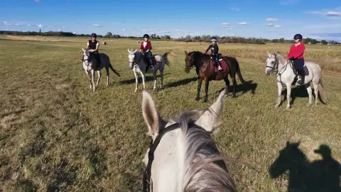 Egész napos lovas túra az alföldi betyár utakon gyakorlott lovasoknak
