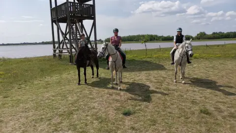 Családi/ 3 fős Tereplovaglás a Dél-Alföld pusztáin haladóknak