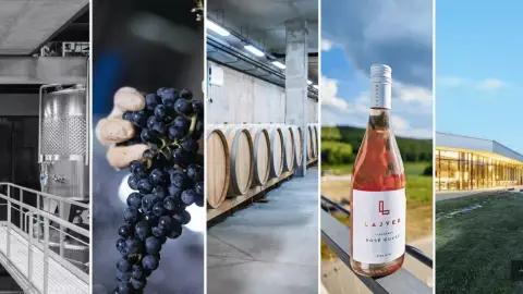 5 tételes borkóstoló a Lajver Borbirtokon 10