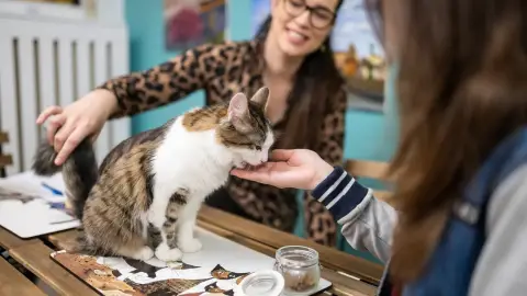 Páros randi élmény a Cat Museumban szuvenírrel! 5