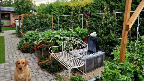 Kert PÁTYolgató workshop 5