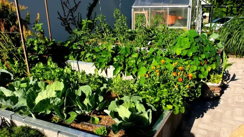 Kert PÁTYolgató workshop 2