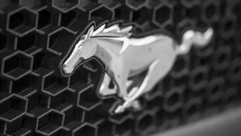 Ford Mustang 5.0 GT V8 Fekete CONVERTIBLE autópályás élményvezetés 2