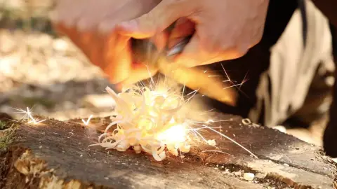 Tűzgyújtás kurzus Modern és Hagyományőrző módszerekkel a Bakony erdeiben / Családi erdei kaland a Bakonyban 3