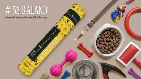 BLÖKI-A kutyás bakancslista kdevenceddel-akár csak a poszter 4