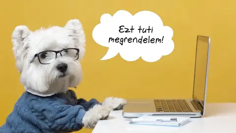 BLÖKI-A kutyás bakancslista kdevenceddel-akár csak a poszter 5