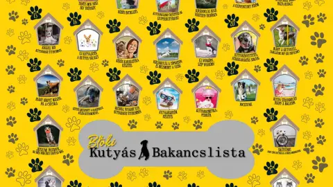 BLÖKI-A kutyás bakancslista kdevenceddel-akár csak a poszter 6
