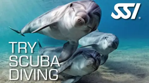 Haladó Próbamerülés az Aquaworldben