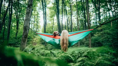 Falatozós,lazulós függőágyas piknik Dobogókőn 1